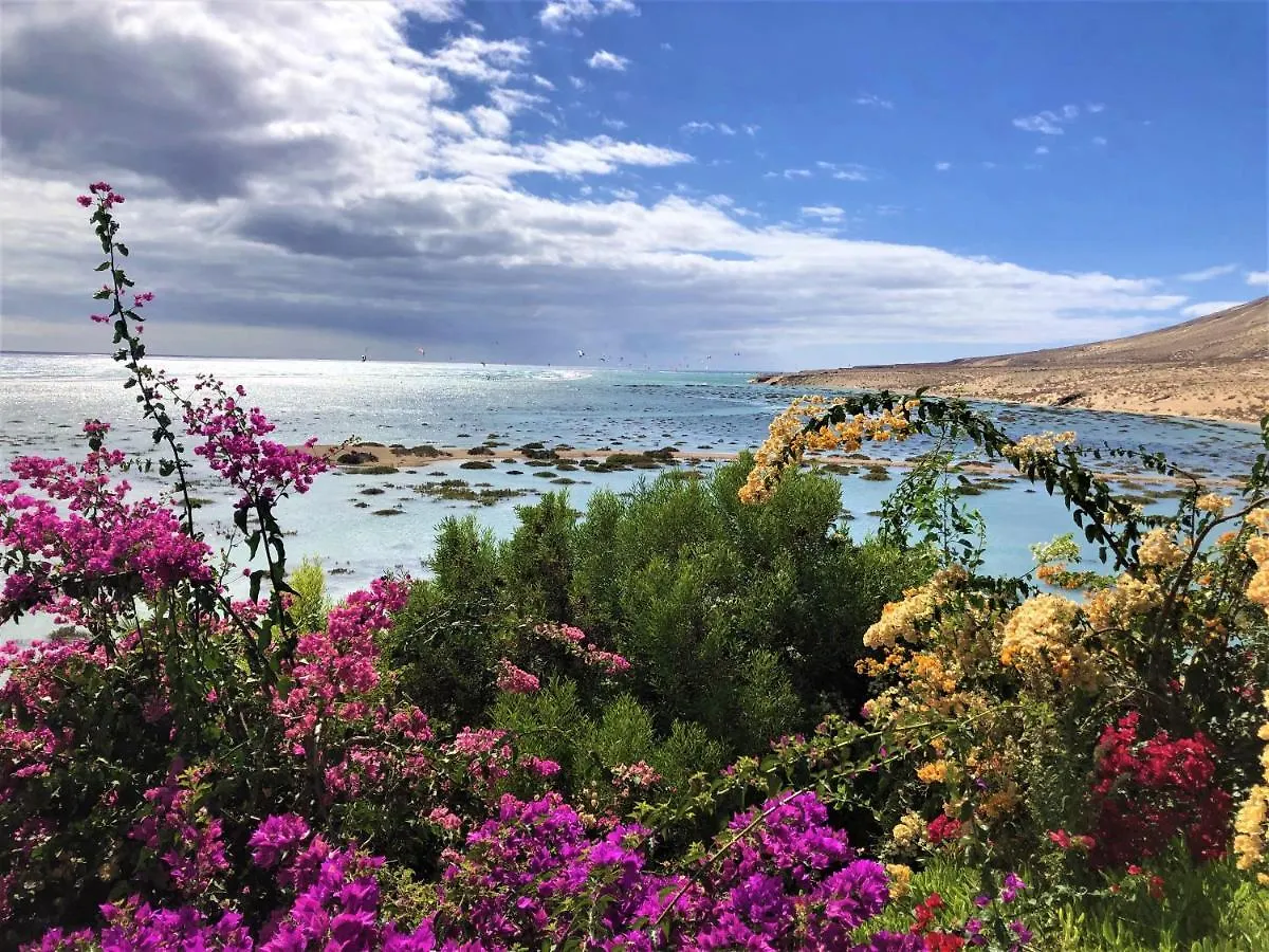 Jardin De Costa Calma Apartment Spain